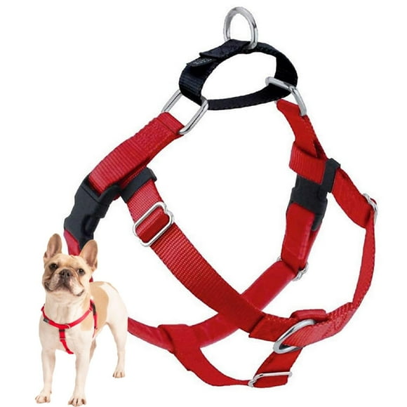 2 Hounds Design Freedom No Pull Dog Harness | Adjustable Gentle Comfortable Control for Easy Dog Walking | for Small Medium and Large Dogs | Made in USA | Leash Not Included | 1" XL R