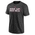 thumbnail image 2 of Men's Fanatics Charcoal Arizona Cardinals Component T-Shirt, 2 of 3