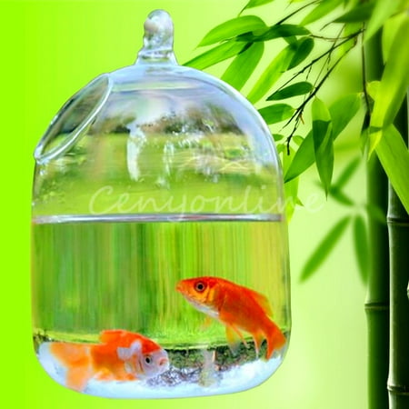 Hydroponic Wall Hanging Bubble Aquarium Fish Glass Vase Tank Plant Home