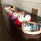 thumbnail image 2 of Simulation Mew Sound Cat Sleeping in Nest Plush Toy Home Ornament Car Decor heqiyong toy, 2 of 2