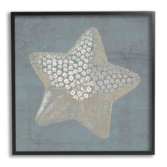 Patterned Starfish Aquatic Sea Life Animals & Insects Graphic Art Black Framed Art Print Wall Art