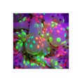 thumbnail image 1 of Advancent Paquete de 10 globos de látex, decoración de ceremonia luminosa, calcomanía de regalo para bebé, seguridad, tamaño grande, accesorio de Type3 NO3 Advancent HA062003-01B, 1 of 6