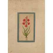 Bnf Botanique: Carnet Blanc, Fleur 1, Miniature Indienne 18e Sicle (Paperback)