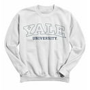 W Republic Northwood University Timberwolves Campus Pullover Sweatshirt  Hoodie - Heather Charcoal, Small at  Men's Clothing store