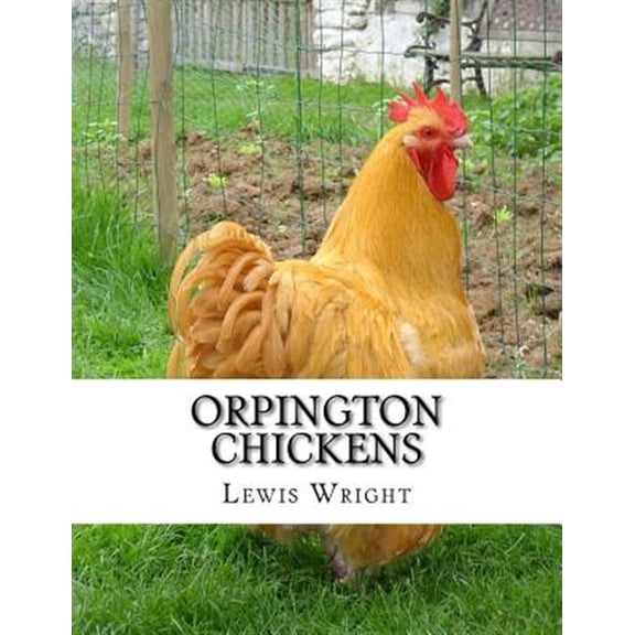 Pre-Owned Orpington Chickens : From the Book of Poultry