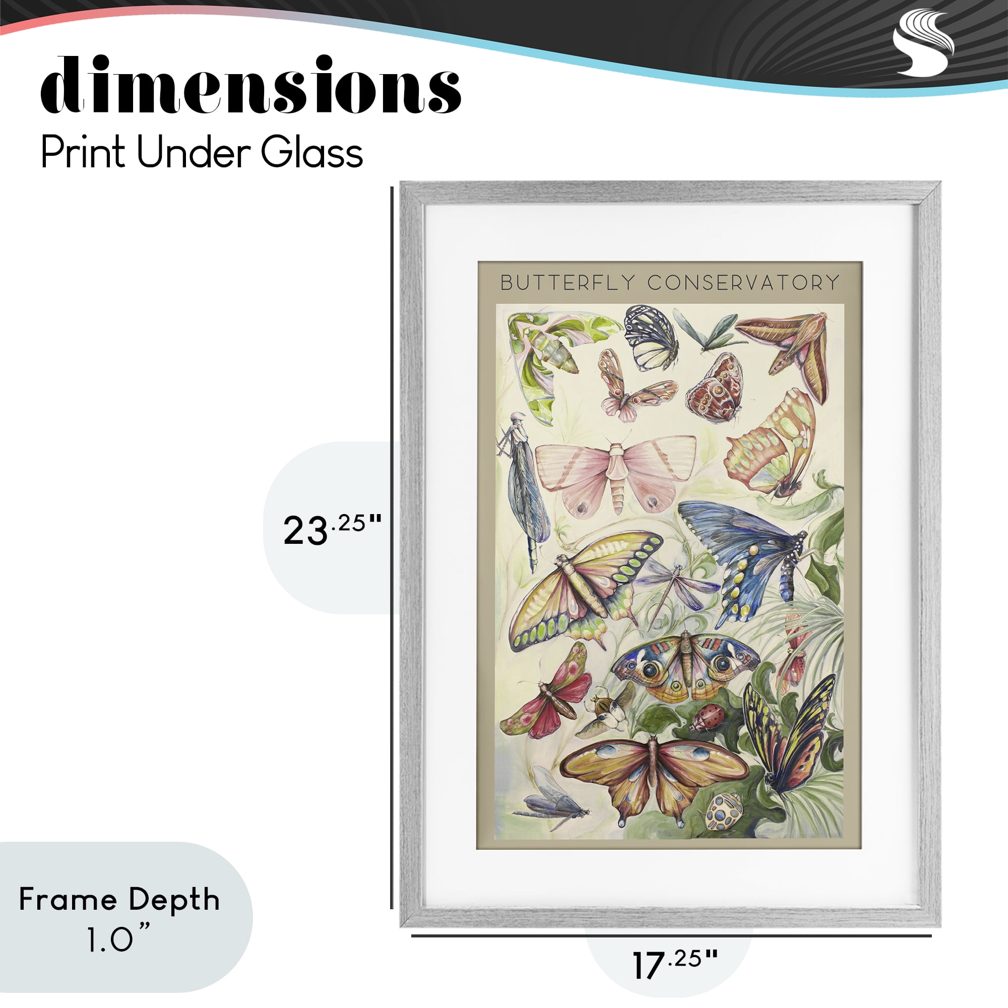 Stupell Industries Butterfly Conservatory Insects Gray Framed Print Under Glass, design by Diannart
