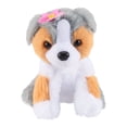 thumbnail image 1 of AUSTRALIAN SHEPHERD, 1 of 5