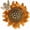 style 6, variant on Leander Botanical Flower Brooch Collection, Gold Plated Crystal Rose Tulip Lotus Sunflower Lapel Pin for Coat Jacket Scarf Bag Jewelry Gift