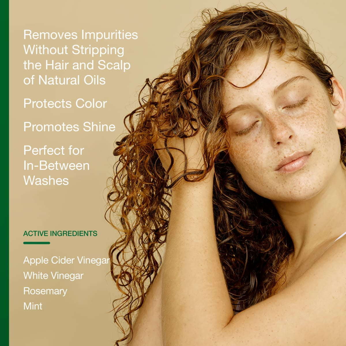 (3 pack) Raw Sugar Rosemary Vinegar Hair Rinse Shampoo Alternative - Rosemary + Mint, 6 fl oz