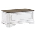 thumbnail image 2 of Liberty Furniture Magnolia Manor Storage Trunk - White, 2 of 5