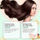 thumbnail image 2 of Batana Oil for Hair Growth, 100% Pure & Natural Batana Oil for Thicker, Stronger Hair, Nourishes Hair & Scalp, Organic Batana Oil for Dry, Damaged Hai, 2 of 5