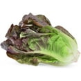 thumbnail image 2 of Red Romaine Lettuce Seeds for Planting, 1000+ Heirloom Seeds Per Packet, (Isla's Garden Seeds), Non GMO Seeds, Botanical Name: Lactuca Sativa, Great Gift for Home Garden, 2 of 9