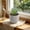 E, variant on Small Artificial Potted Plastic Plants with Gray Pot Fake Mini Floral Arrangement Tabletop Indoor Home Office Decor,B