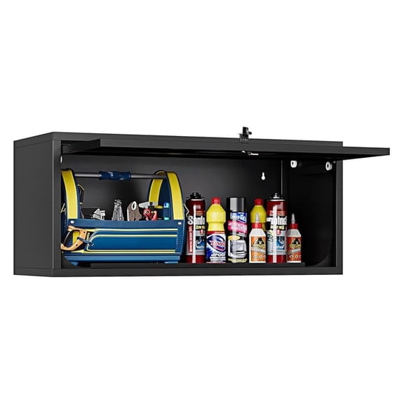 Small Wall-Mounted Locking Cabinet Metal Garage Storage Cabinet Hanging Medicine Lockable Steel Utility Floating Tool 14" H Assembly Required Black