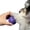 Purple, variant on Dog Toy Squeaky Chew Ball, Popcorn Training Ball with Bite-Resistant Texture, 2 Inch Lightweight-Fetch Toy for Puppy Teething, Small Dog Indoor Outdoor Play Purple