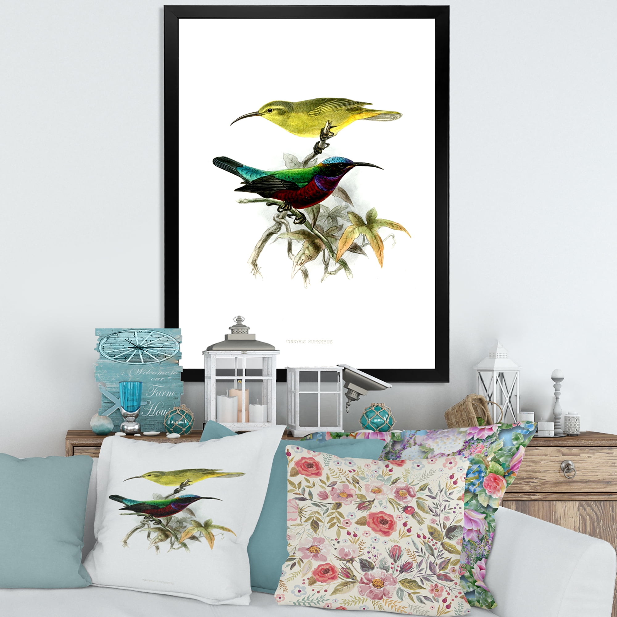 Designart 'Ancient Australian Birds XV' Traditional Framed Art Print