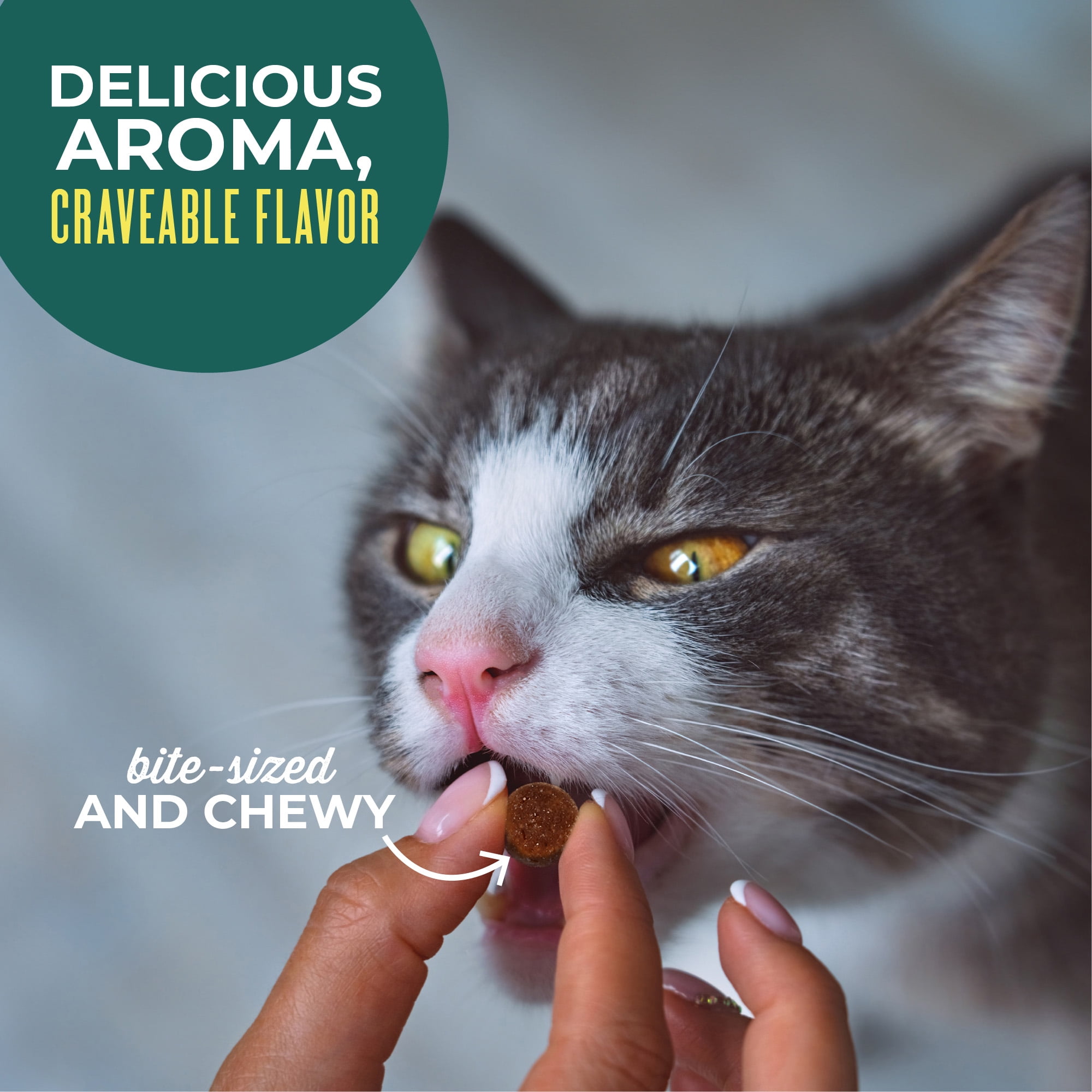 (2 pack) Tiki Cat Soft & Chewy Tuna Flavor Treats, 2 oz. Bag