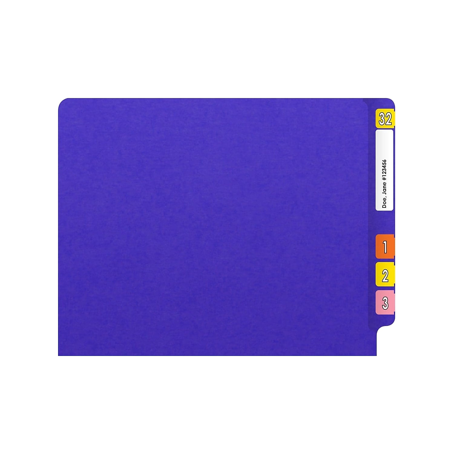 Medical Arts Press Heavy-Duty End Tab File Folder Straight Cut Letter-Size Purple 40/Box