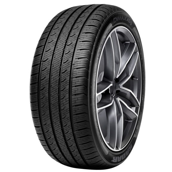 Radar Dimax AS-9 All Season 205/60R16 96V XL Passenger Tire