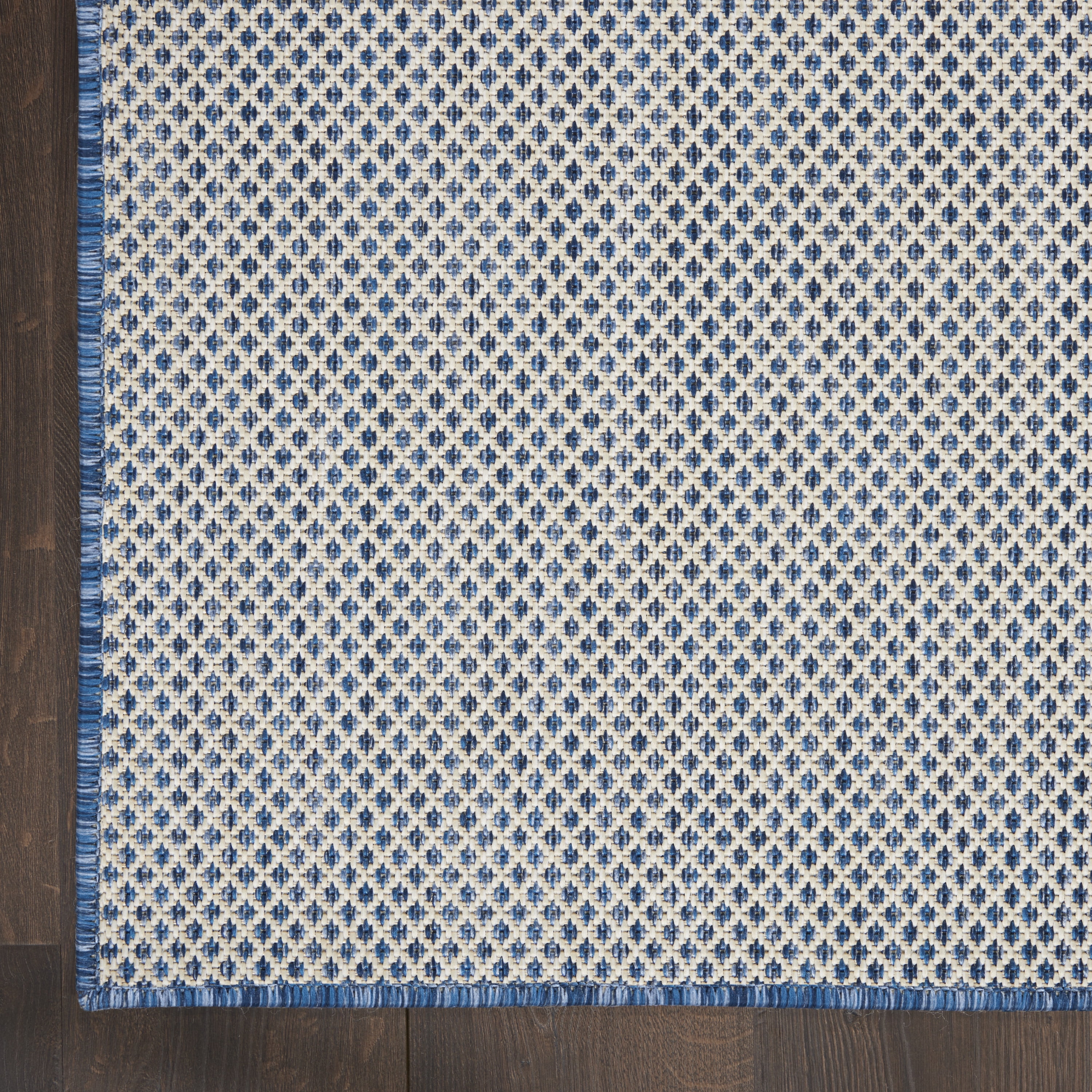 Nourison Courtyard Indoor/Outdoor Ivory Blue 4' x 6' Area Rug, (4x6)