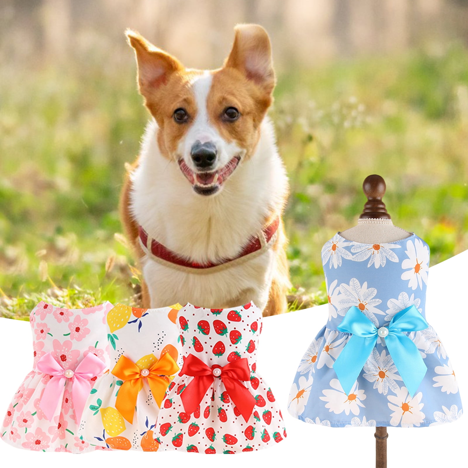 How To Put A Dog Dress On