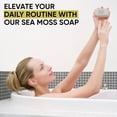thumbnail image 6 of Herboganic Sea Moss Herbal Soap, Vegan and Natural Bar Soap for Face and Body, Infused with Seaweed, 5 Oz Pack of 1, 6 of 9