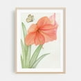 thumbnail image 2 of Amaryllis with Butterfly - Drawing Botanical Floral Flowers Nature Pastel Unframed Wall Art Print 8 x 12 inches, 2 of 16