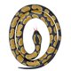 thumbnail image 2 of WILD REPUBLICA Serpiente de Goma, Bola de Pitón Juguete, Regalos Niños Wild Republic WILD REPUBLIC, 2 of 2