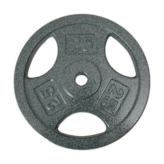 GoZone Grip Weight Plate – Silver