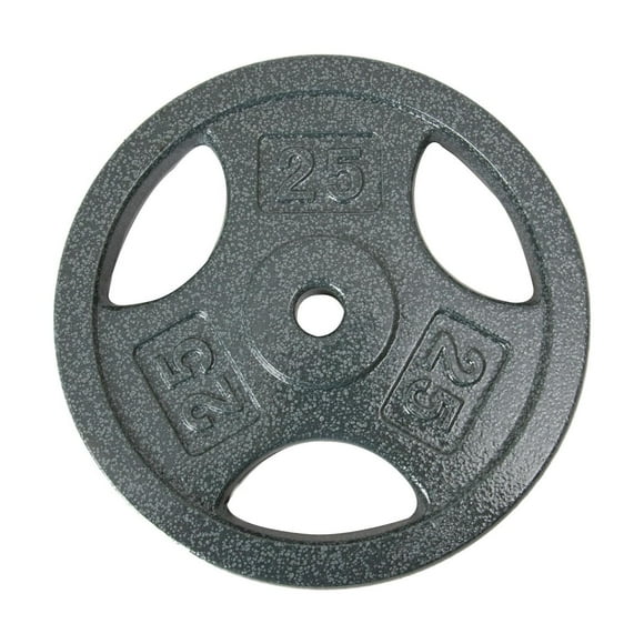 GoZone Grip Weight Plate – Silver
