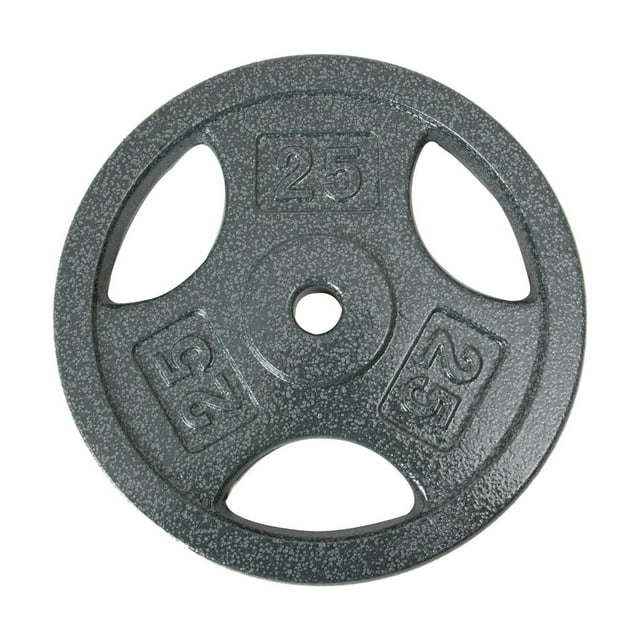 Disque de musculation avec prises GoZone – Argent