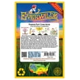thumbnail image 2 of Everwilde Farms - 500 Powder Puff Mixed China Aster Garden Flower Seeds - Gold Vault Jumbo Bulk Seed Packet, 2 of 5