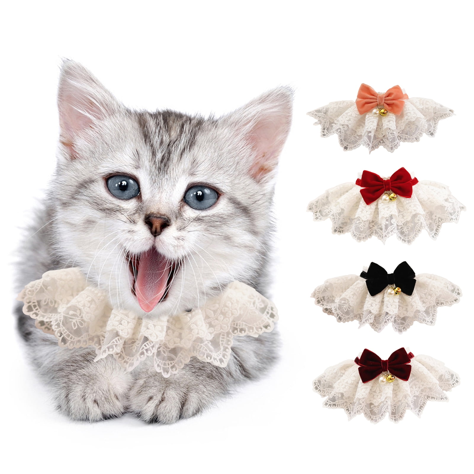 lace kitten collar