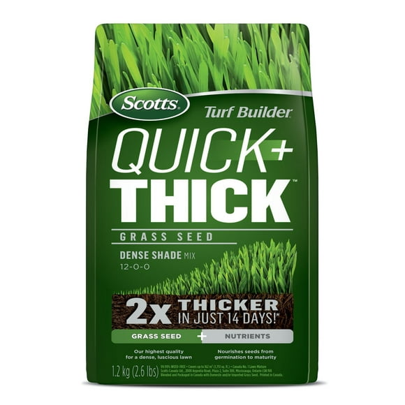 Scotts Turf Builder Quick + Thick Grass Seed Dense Shade, Dense Shade Grass Seed 1.2Kg
