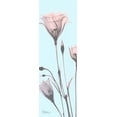 thumbnail image 2 of Koetsier, Albert 13x32 Black Ornate Wood Framed with Double Matting Museum Art Print Titled - Gentian Paradise, 2 of 4