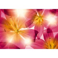 Komar Summer Sun Wall Mural