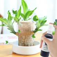 thumbnail image 6 of Hovmgk 100ml Brazilian Wood Nutrient Solution, Hydroponic Growth Booster, Prevents Yellow Leaves, Stimulates Germination, Designed for Healthy Brazil Wood Plants in Soil & Hydroponics, 6 of 6