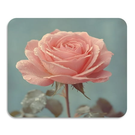 

ALAZA Dish Drying Mat for Kitchen Retro Rose Flower Counter Absorbent Draining Pad 23.6 x19.7