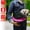Pink, variant on Moclever Pet Dog Sling Carrier Dog Sling with Net Bag for Carrier Dogs Cats Hands Free Pet Bag Dog Sling Backpack, Pink, 13.78x10.24x1.57in