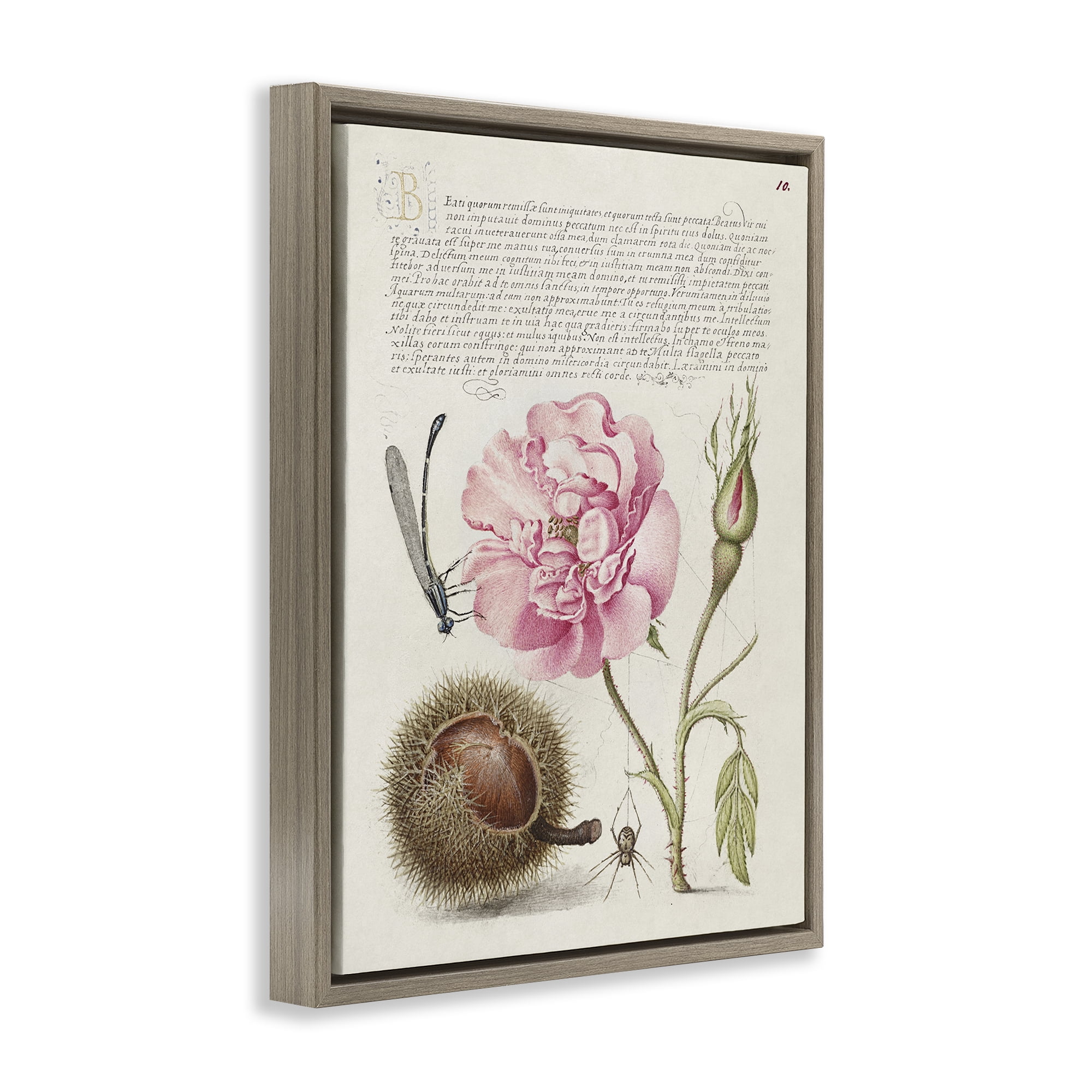 Stupell Industries Antique Study Page Text & Numbers Painting Brown Floater Framed Canvas Art Print Wall Art, 25 x 31
