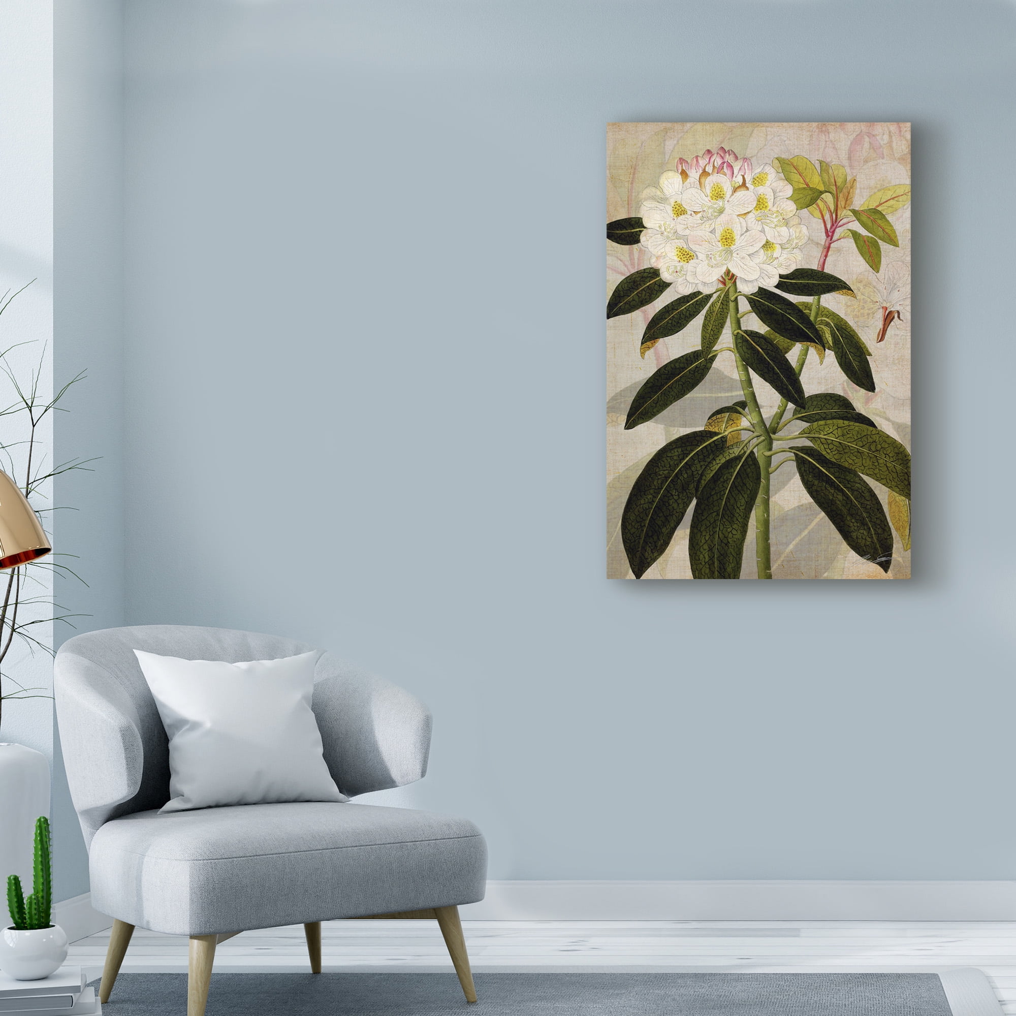 Trademark Fine Art 'Rhododendron I' Canvas Art by John Butler