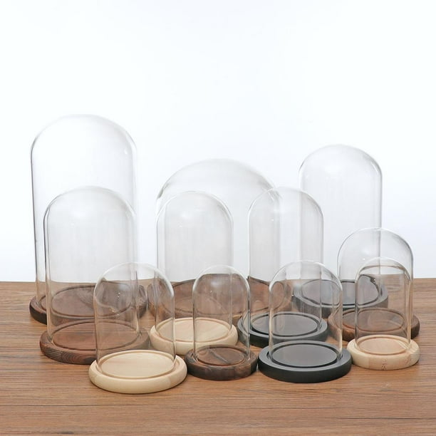 Dôme En Verre Cloche Dôme En Verre Cadeaux de Saint Valentin pour