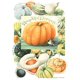 thumbnail image 1 of Andrews + Blaine Harvest Garden Puzzle (1000-Piece) Andrews + Blaine 2990, 1 of 2
