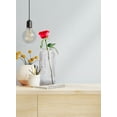 thumbnail image 3 of Serene Spaces Living Rustic Hand Blown Hurricane, Clear, Tall, 3 of 6