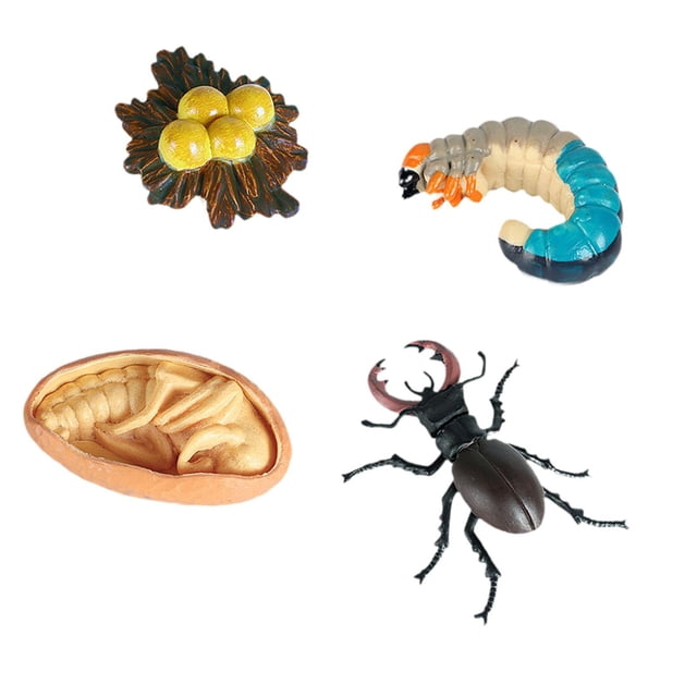 modelo Animal juguete de material didáctico sólido adornos de juego de juguetes educativos para aulas de fiesta preescolar niñas Estilo B