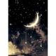 thumbnail image 1 of Cuadros Decorativos (DF4282) Kit de bordado de punto de cruz de pintura de diamante de taladro completo 5D DIY (Moon09) 20X30cm Tmvgtek embutido en tela, 1 of 2
