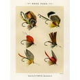 thumbnail image 2 of Marbury, Mary Orvis 25x32 Gold Ornate Wood Framed with Double Matting Museum Art Print Titled - Bass Fishing Flies IX from Favorite Flies and Their Histories, 2 of 4