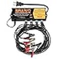 thumbnail image 3 of PulseTech PRO-12-RP - RediPulse12 Station Battery Maintenance System, 3 of 4