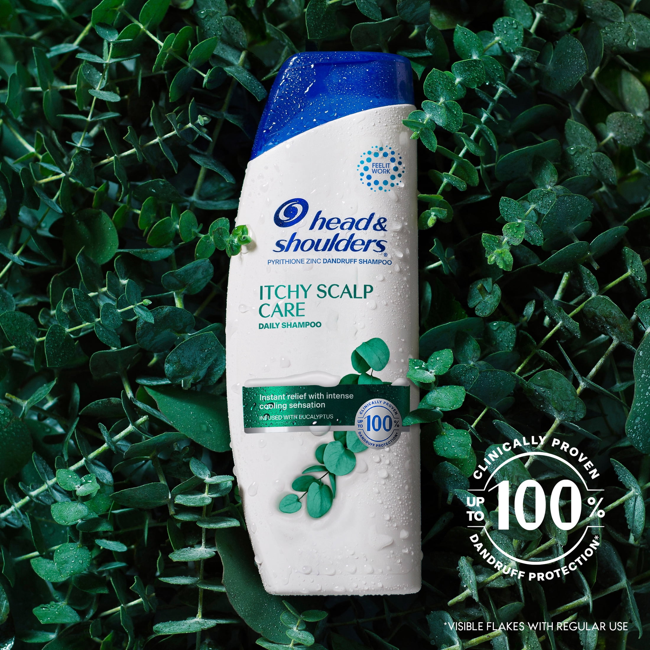 (6 pack) Head and Shoulders Dandruff Shampoo, Itchy Scalp Care, 12.5 fl oz
