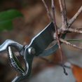 thumbnail image 5 of 60.23 Secateurs 23 cm Hollow Branches STAINLESS STEEL, 5 of 5